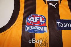 Hawthorn Grand Final Match Jersey 2012 Signed Luke Hodge Comes With Coa