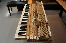 Steinway B Grand Piano 6'10 Satin Ebony SIGNED BY HENRY STEINWAY! REDUCED