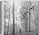 Taylor Swift Hand-signed In The Trees Folklore Limited Edition Deluxe Cd Rare