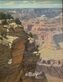 Grand Canyon Plein Peinture À L'huile De L'air Par Mick Mcginty
