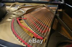 Steinway B Grand Piano 6'10 Ebony Satin Finish Signée Par Henry Steinway
