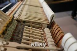 Steinway B Grand Piano 6'10 Satin Ebony Signée Par Henry Steinway! Réduit